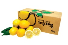 무농약 제주레몬 3kg 농장직영 : 내딸에게