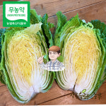[무농약] 장흥슬로푸드농부 통통배추 2포기 : 장흥슬로푸드농장