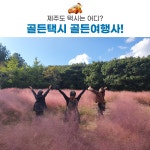 골든여행사 제주도 택시투어 승합차 기사포함 대절 쏠라티 스타리아 카니발 스타렉스 단체 관광 요금 : 골든택시 골든여행사