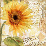 10종 DIY 명화그리기 유화그리기 세트 해바라기 꽃 행운 나비 새 일러스트 추상화 풍경화 아이러브페인팅 캔버스 액자 프레임포함 F0063... 