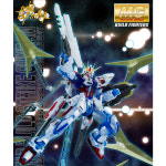 MG 스타 빌드 스트라이크 건담 RG시스템 한정판 STAR BUILD STRIKE RG SYSTEM : 건담웨이