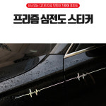 차량꾸미기 스크래치가리기 프리즘 심전도 스티커 : 정해바바