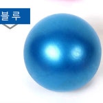 미니 짐볼 홈트 펌프 세트 요가 공 마사지 필라테스 짐 볼 25cm : 온.쇼핑