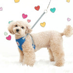 패리스독 베이직 매쉬 하네스2 S~L size (사이즈 색상선택) : 캣독09