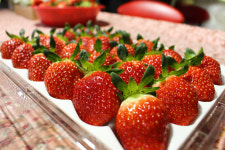 귀하게 자란 설향딸기 800G 1.6KG 난좌포장 선물용 딸기 : MARKET SENSE