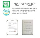 도라지배즙 순수배즙 맑은배즙 50포 100포 나주배즙 : 서강농원 나주배농장