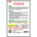 관동 미쯔바 참나물씨앗 10g 쌈채소 향채소 주말농장 텃밭가꾸기 참나물씨 : 연두네씨앗