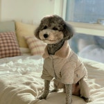 강아지 올인원 패딩 경량 방수 방한복 발열 명품 애견 겨울옷 깔깔이 후리스 누빔 : 멍뭉미