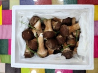 [원탑] 산지직송 직접 수확 맛있는 참송이버섯 선물세트 500g, 1kg 명절 추석 설 좋은날 : 원탑농원 참송이버섯