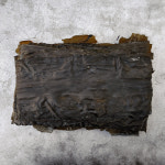 청정해역 전남 완도 다시마 1kg : 우리바다자연식품