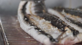 순흥수산 싱싱장어 생물장어 1Kg 맛있는 국내산 손질장어 : 민물장어쇼핑몰