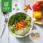 의령농산 유알팜 당일채소 당일제조 당일발송 파프리카 믹스 샐러드 1kg : 유알팜