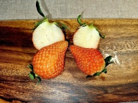 논산 겨울과일 비타베리 별이네딸기농장 생딸기 1kg : 별이네딸기농장