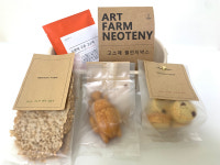 환경교육 밀웜 고소애 미래식량 식용곤충 챌린지 박스 20개 : 보라사