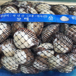 고흥 꼬막 1kg 고흥 새꼬막 벌교꼬막 여수꼬막 세꼬막 활꼬막 생 꼬막 택배 참꼬막 새고막 구이용조개 벌교새꼬막 왕 꼬막 무침 여자만꼬막... 