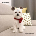 (8 Colors) 강아지 뜨개목도리 강아지 니트목도리 S,L : 멍베베