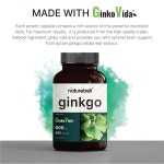 네이처벨 Ginkgo 징코 빌로바 500mg 300정 : SELLER