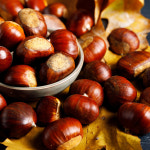 품애담 공주밤 알밤 햇밤 깐밤 뜨래밤 포르단 칼집밤 군밤 생밤 생율 : 품애담