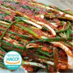 전라도 해남해주네 쪽파김치2kg : 해남해주네김치