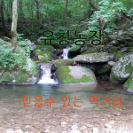 덕유산 천연꿀 아카시아꿀 야생화꿀벌화분2.4kg : 유창농장