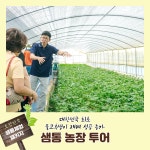 철원 샘통농장 체험 (4인)- 물재배 고추냉이 & 송어 맛보기 / 농장 투어 / 뜰채잡이 : 샘통고추냉이