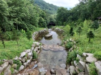 덕유산 천연꿀 아카시아꿀 야생화꿀벌화분2.4kg : 유창농장