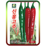 신홍고추씨앗50립 청양고추 약간매운고추 안정적인 재배 주말농장 텃밭 고추씨 : 연두네씨앗