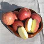 사과 유명한곳  꿀부사 명절선물세트 10kg : 유창농장