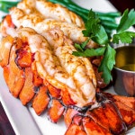 랍스터 캐나다 항공직송 활 랍스타 500g~1kg 바닷가재 LOBSTER : 골드씨