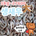 경기로컬푸드 솔바위 농원 소개 생새우(대 사이즈)!! : 경기로컬푸드