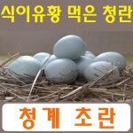 강원고성  자연방사 유황청란 (초란 40-20알)  청계란 유정란 (난각1번) : 스타시드