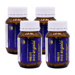 에스더포뮬러 여에스더 유산균 골드 500mg x 60캡슐  X 4병 : 주식회사 아이지비