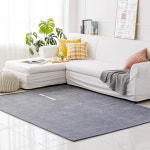 먼지없는 베이직 거실러그 카페트 물세탁가능 4color : 부산진시장 운성이불