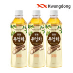[광동 직영] 우엉차 500ml 24개 (유 무라벨 랜덤) : 광동제약 직영스토어