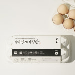 백봉도가 춘천농장 유정란 계란 달걀 100구 자연방목 난각번호 1번 애벌레먹인 오골계알 : 백봉도가
