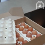 초란 40구 난각번호1번 nonGMO 발효곡물사료 동물복지 유정란 아빠사랑팜 : 아빠사랑팜