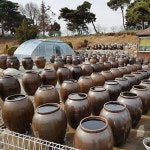 구스키친 청국장 국산 무염 착한 생 청국장 200g 1kg : 구스키친