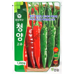 청양 1200립 (23년 11월 포장) : 중앙종묘농약사