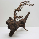 유목 501-027 하드/가지유목 고목나무뿌리 브렌치 관상어 수족관장식 수초활착 새우 열대어 어항용품 꾸미기 : MINILEND