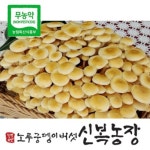 생황금버섯 금이버섯 1kg : 신복농장노루궁뎅이버섯
