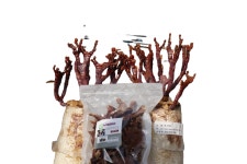 친환경 무농약 녹각영지버섯 100g : 희망표고버섯  굼벵이농장