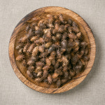 국산 도꼬마리(창이자) 600g 독고마리 도꾸마리 도쿠마리 효능 차 한약재 약초 : 아리네곳간