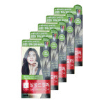 엘지 엘라스틴 염색약 살롱드컬러 애쉬브라운 5개 : 더진스토어