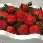 고품질 설향 딸기 1kg : 딸기있슈농장