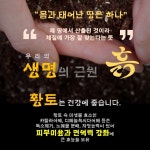 황토 엄마약손 온열 황토 찜질기 어깨 어르신선물 : 건강터