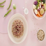 [스쿱543 반려견 수제사료] 화식 용기포장 (150g) : 스쿱543