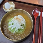 동치미물냉면 냉면밀키트 2인분 해장냉면 고명까지 준비된 연동치미냉면 : 이정닭갈비