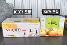 도라지배즙 순수배즙 맑은배즙 50포 100포 나주배즙 : 서강농원 나주배농장