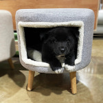 멍냥이 패브릭 수납 펫스툴 숨숨집 원형 화장대 의자 : 미의뜰 디자인 가구