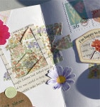 페인트스튜디오 꽃 농장 마스킹테이프 다꾸 마테 다이어리꾸미기 배경 마태 : FAINT STUDIO